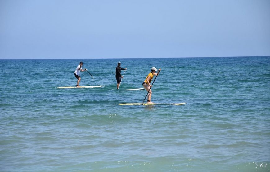 Surfing – SUP